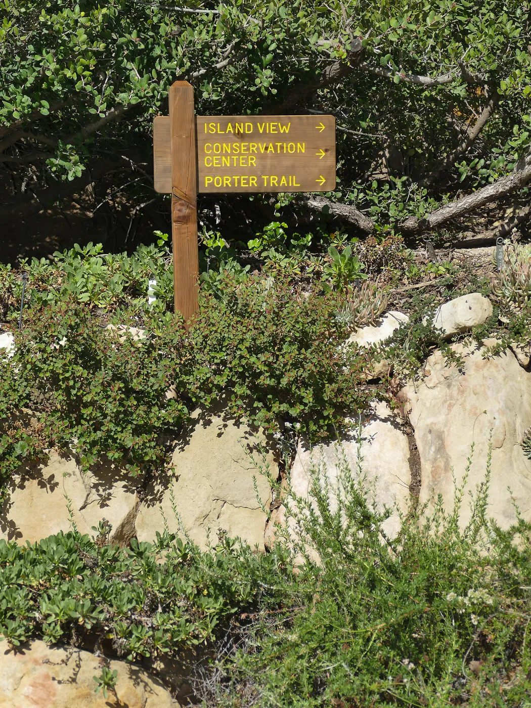 Wayfinding sign 22cb