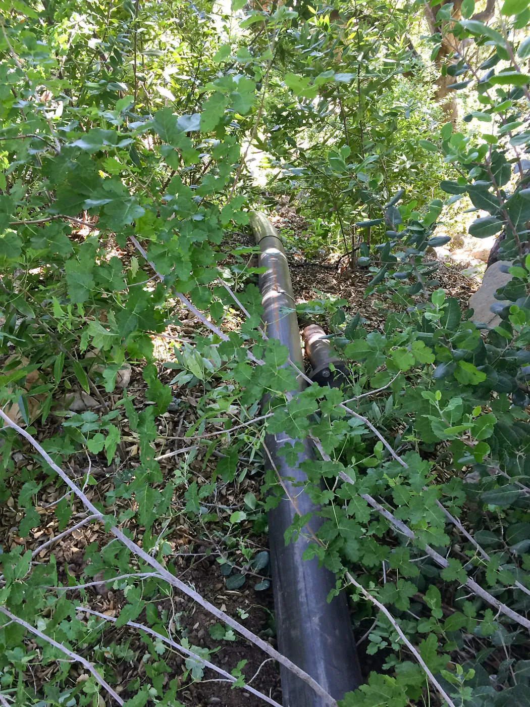 Installation of runoff collection pipe connection from Pritzlaff Conservation Center to well tank