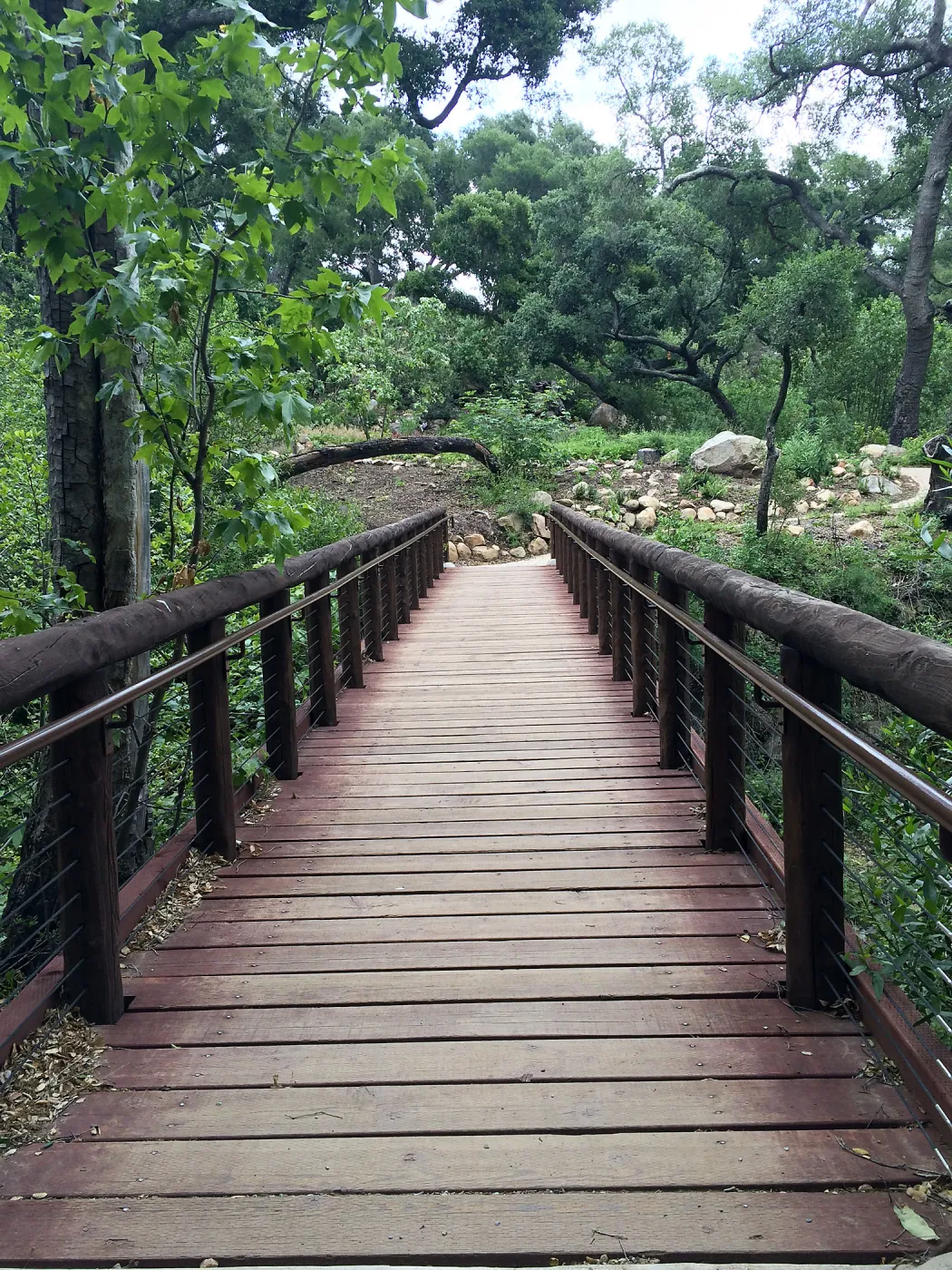 Campbell Bridge