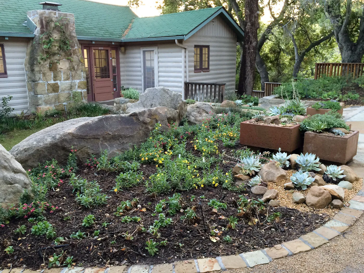 Water Wise Home Garden shortly after planting