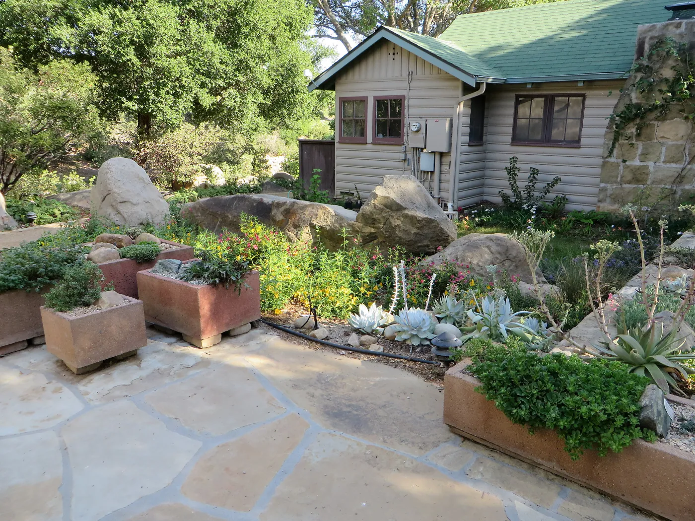 Water Wise Home Garden after renovation