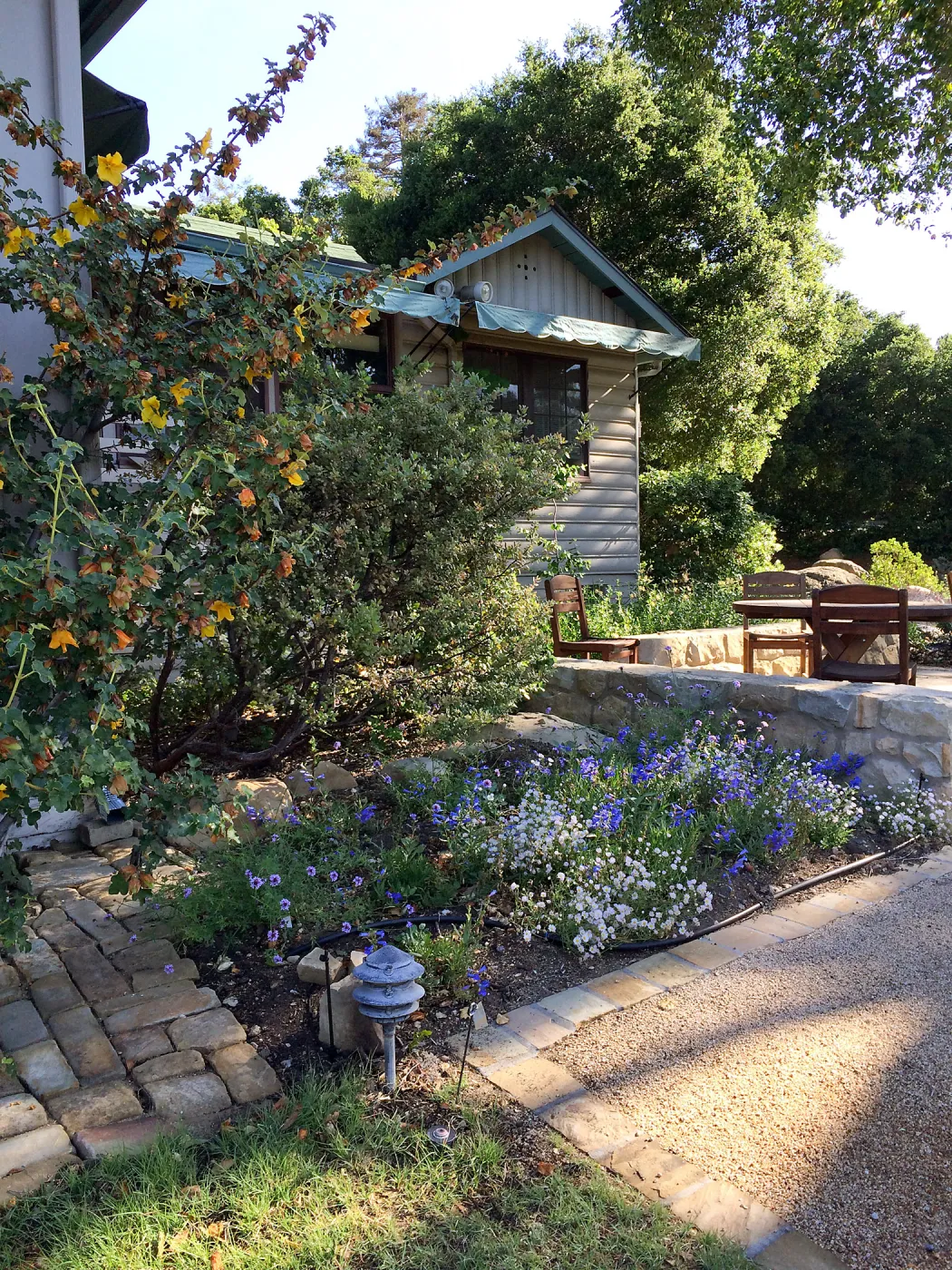 Water Wise Home Garden