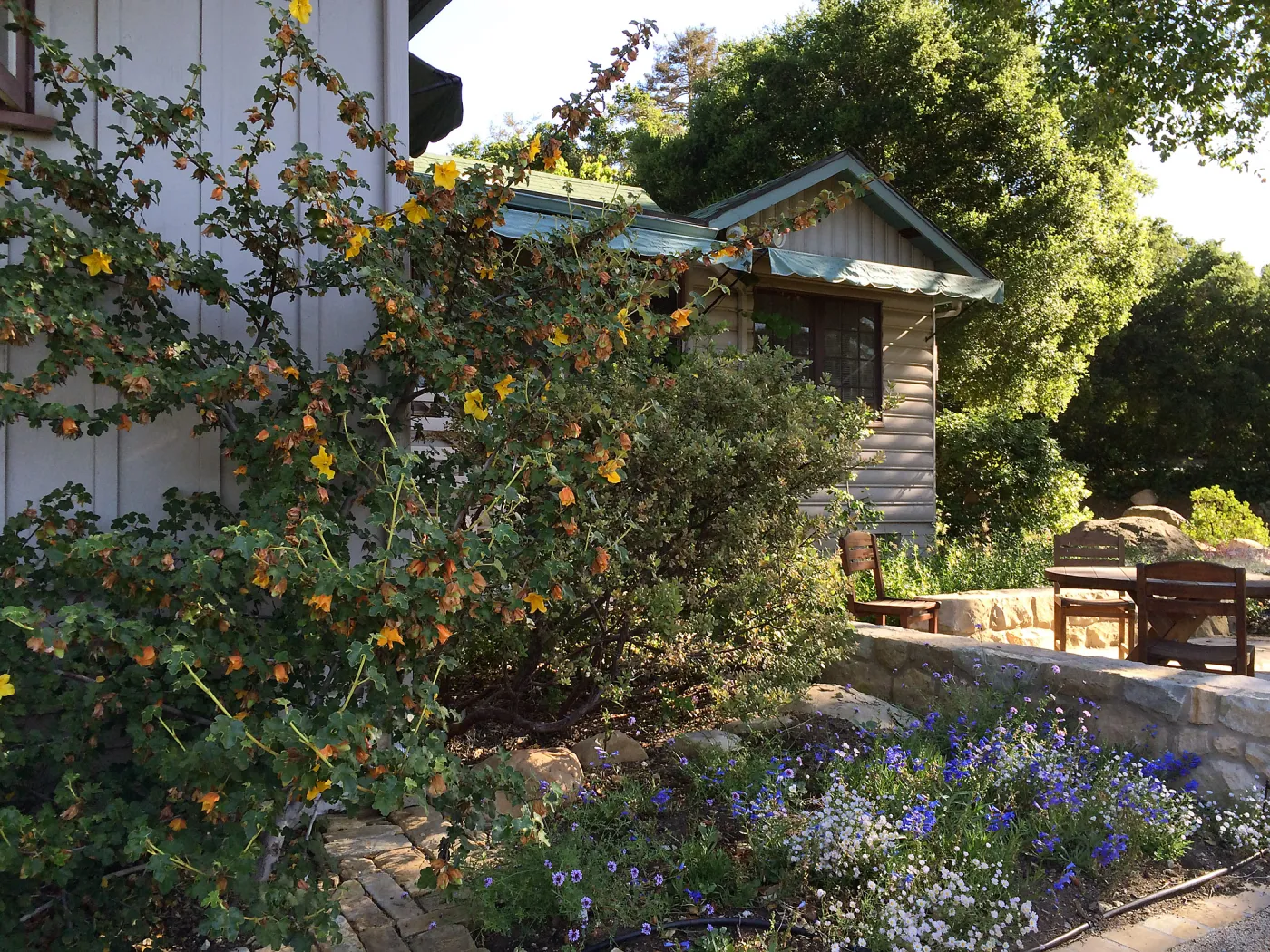 Water Wise Home Garden