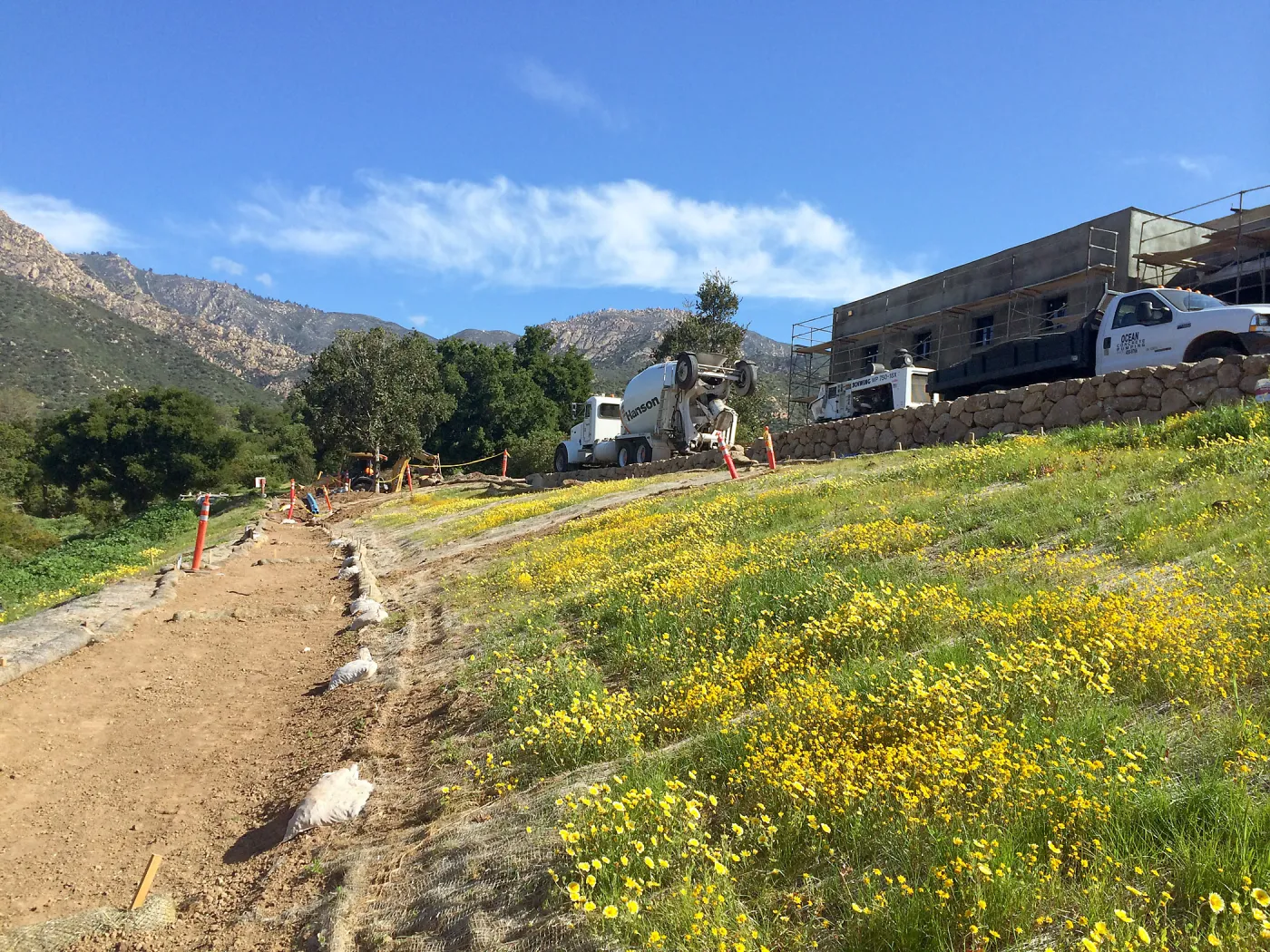 Pritzlaff Conservation Center construction. Layia platyglossa on west slope