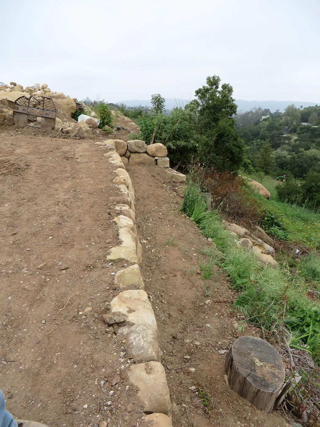 Wall reconstruction at Conservation Center site