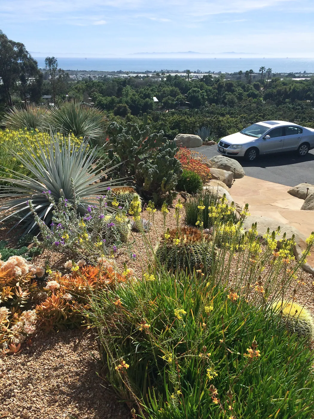 Victor Schaff garden