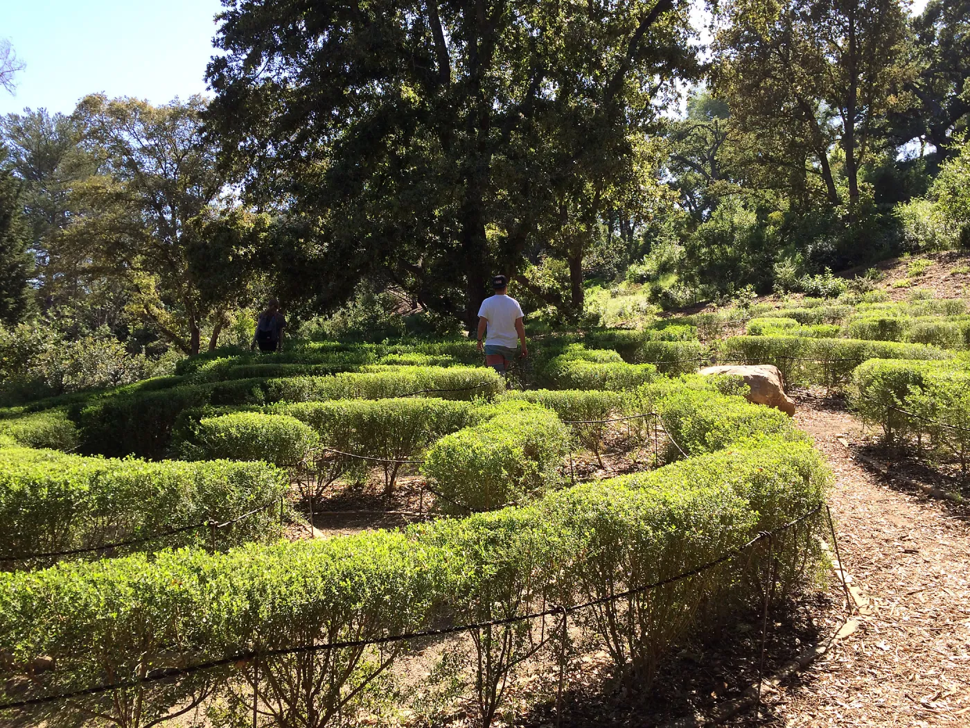 Centennial Maze