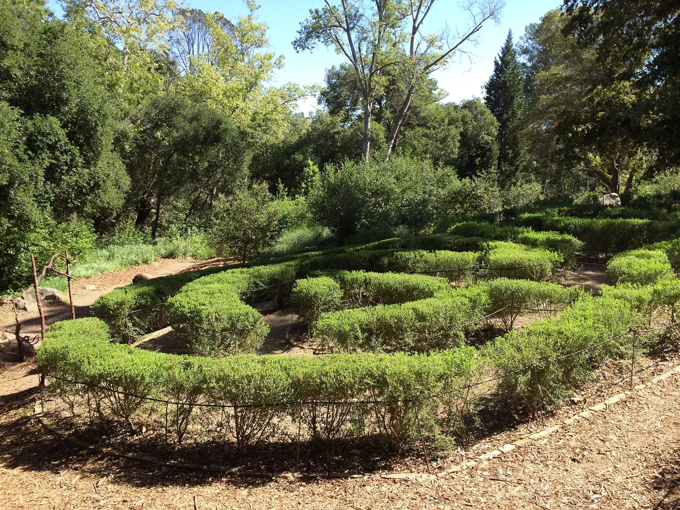 Centennial Maze