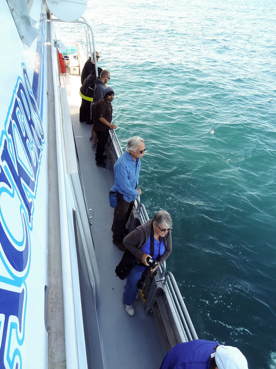 SBBG Staff field trip to Santa Cruz Island, Steve Junak, dolphin viewing