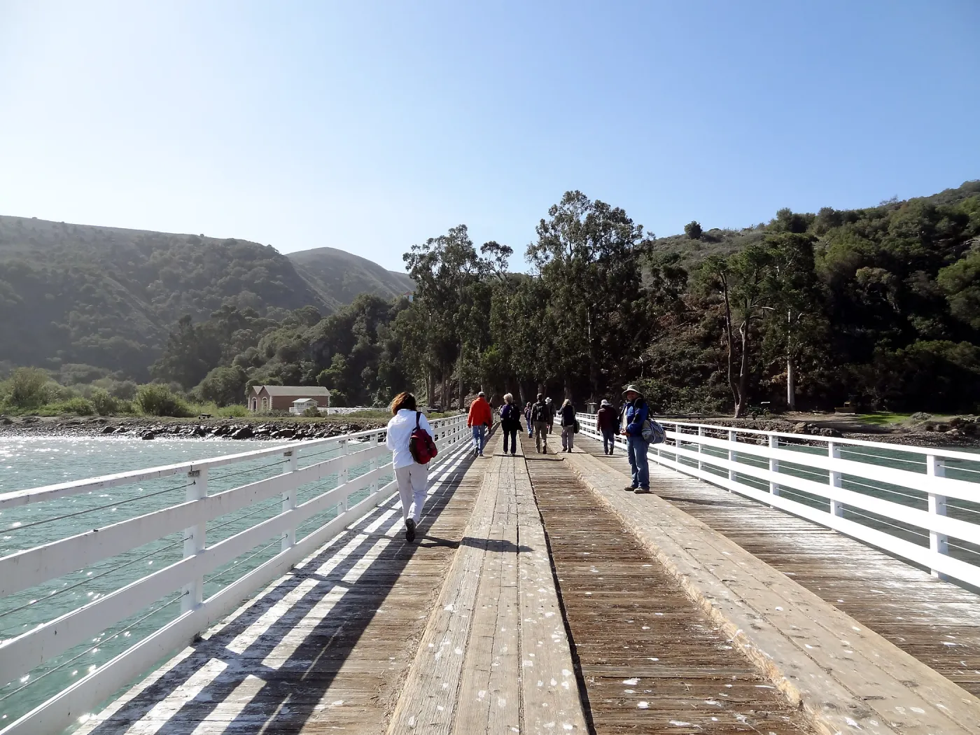 SBBG Staff field trip to Santa Cruz Island, Prisoners Harbor