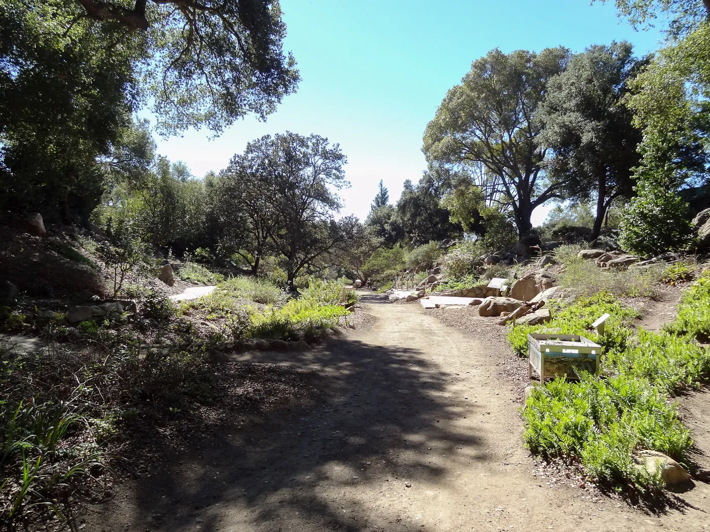 signs in the Discovery Garden, Arroyo Section