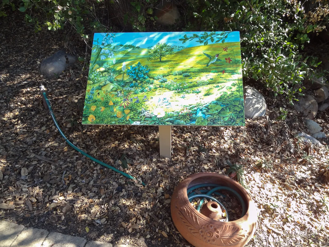 signs in the Discovery Garden, Arroyo Section