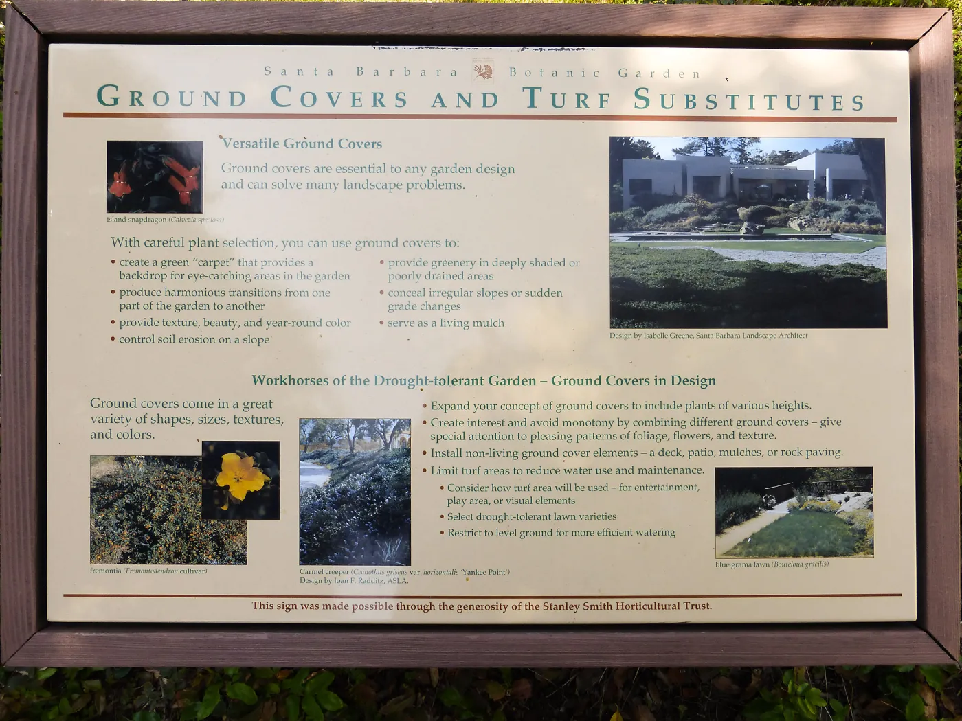 Ground Cover interpretation panel