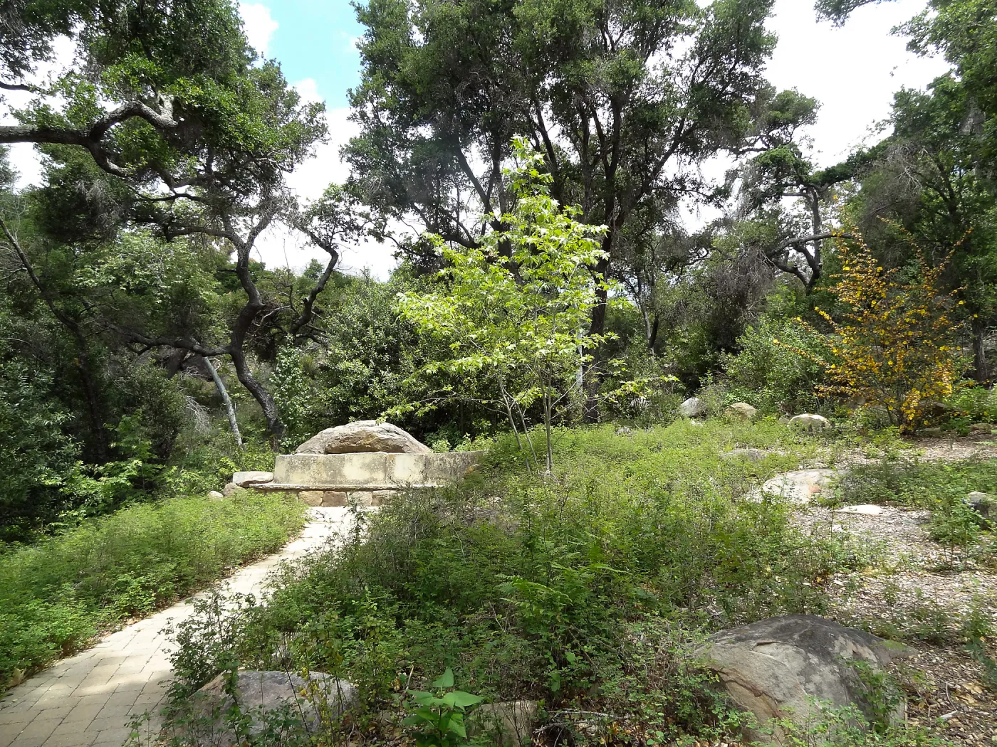 Campbell Bench, 5 years post Jesusita Fire