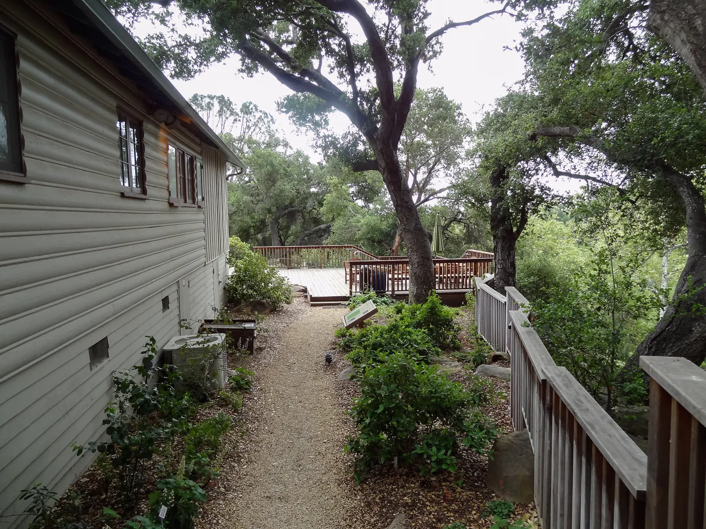 Home Demonstration Garden, 5 years post Jesusita Fire