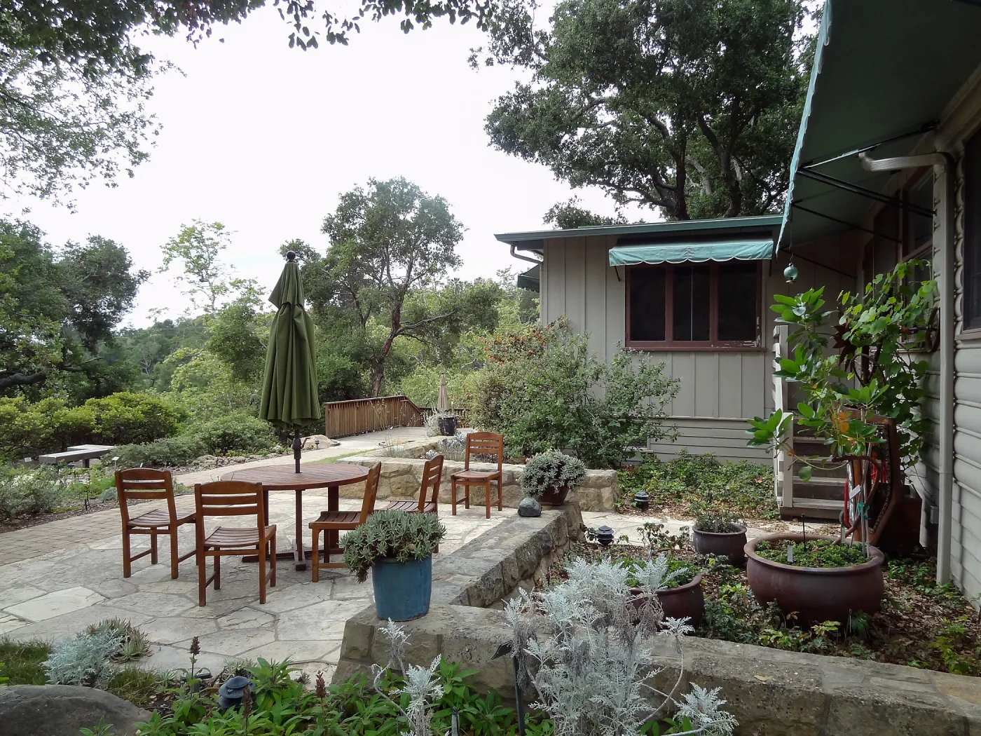 Home Demonstration Garden, 5 years post Jesusita Fire