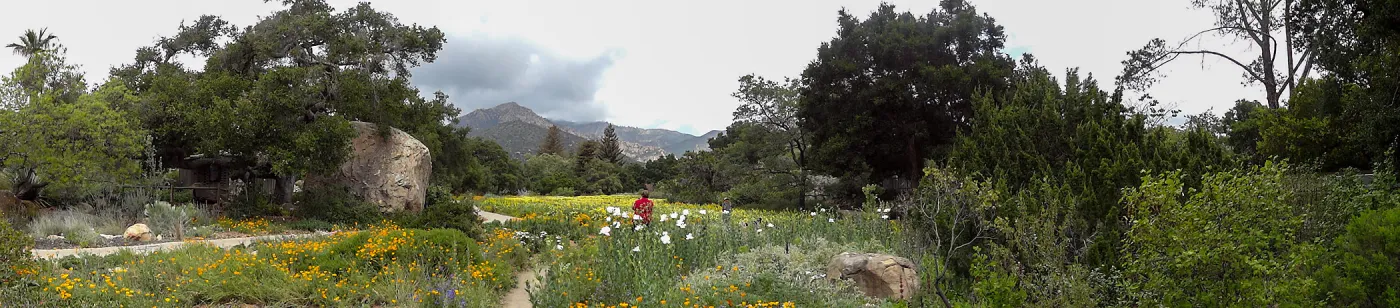 panorama, Meadow