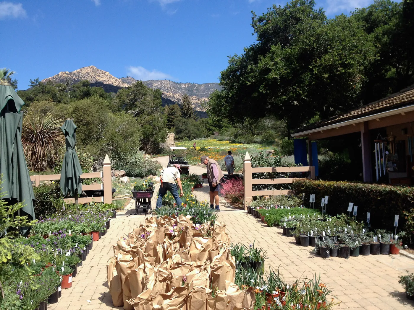 Spring Plant Sale setup, 2014