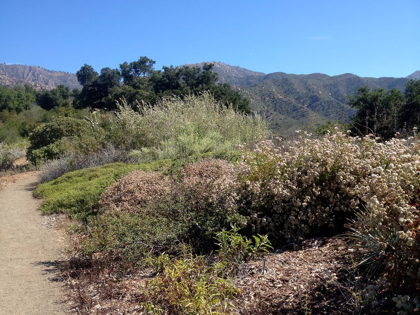 Porter Trail