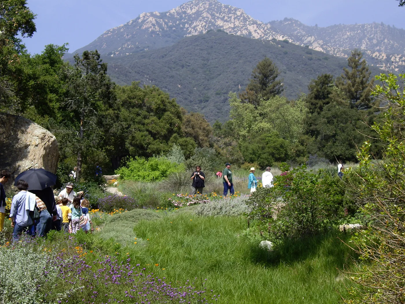 Spring Egg Hunt, 2007