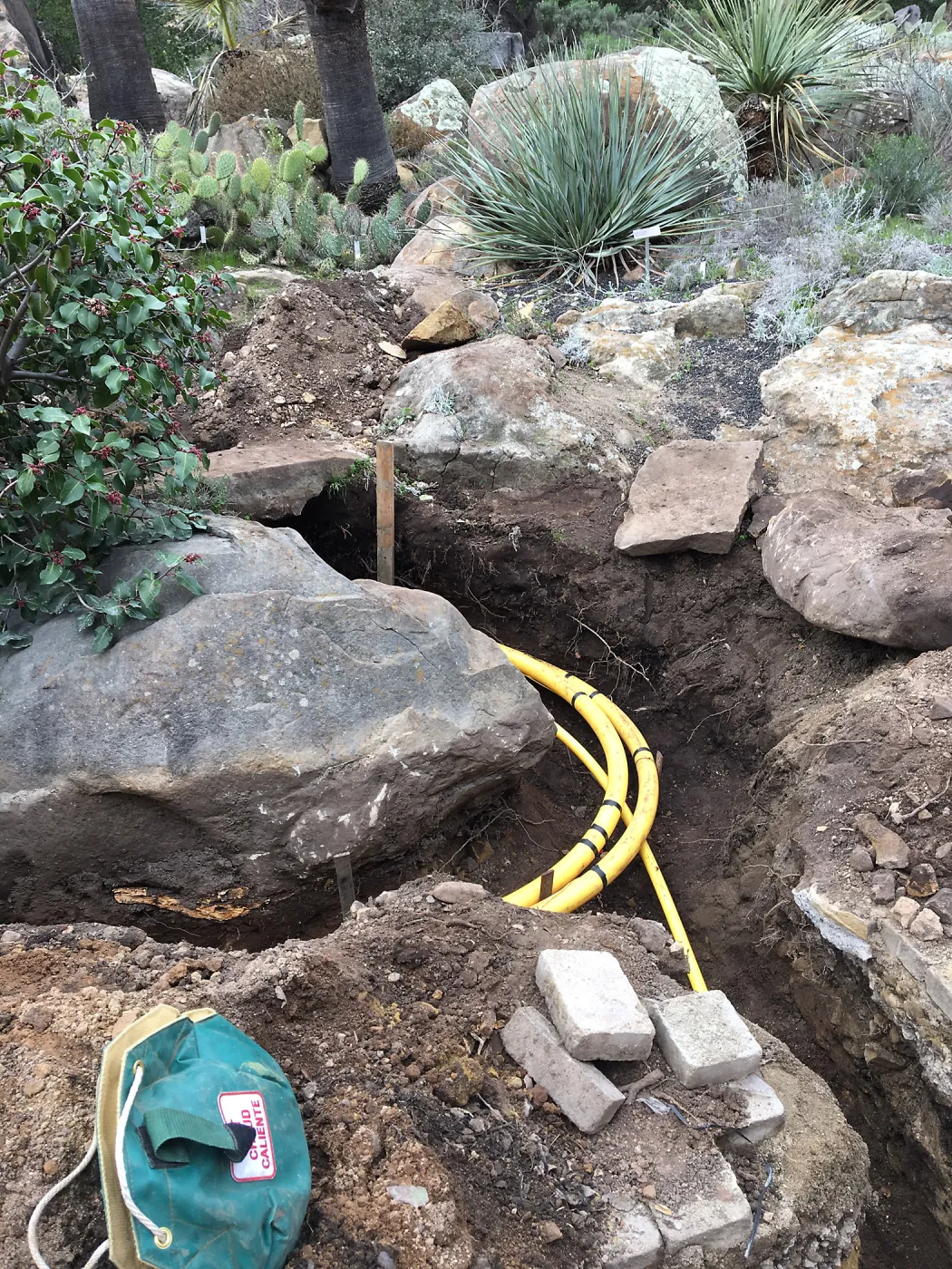 Work on new gas line in Courtyard northwest corner