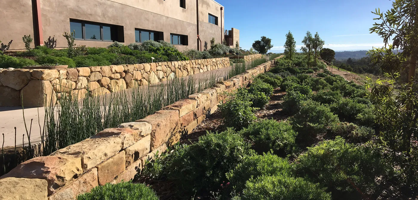 Pritzlaff Conservation Center west side, Island View Garden, Equisetum rill