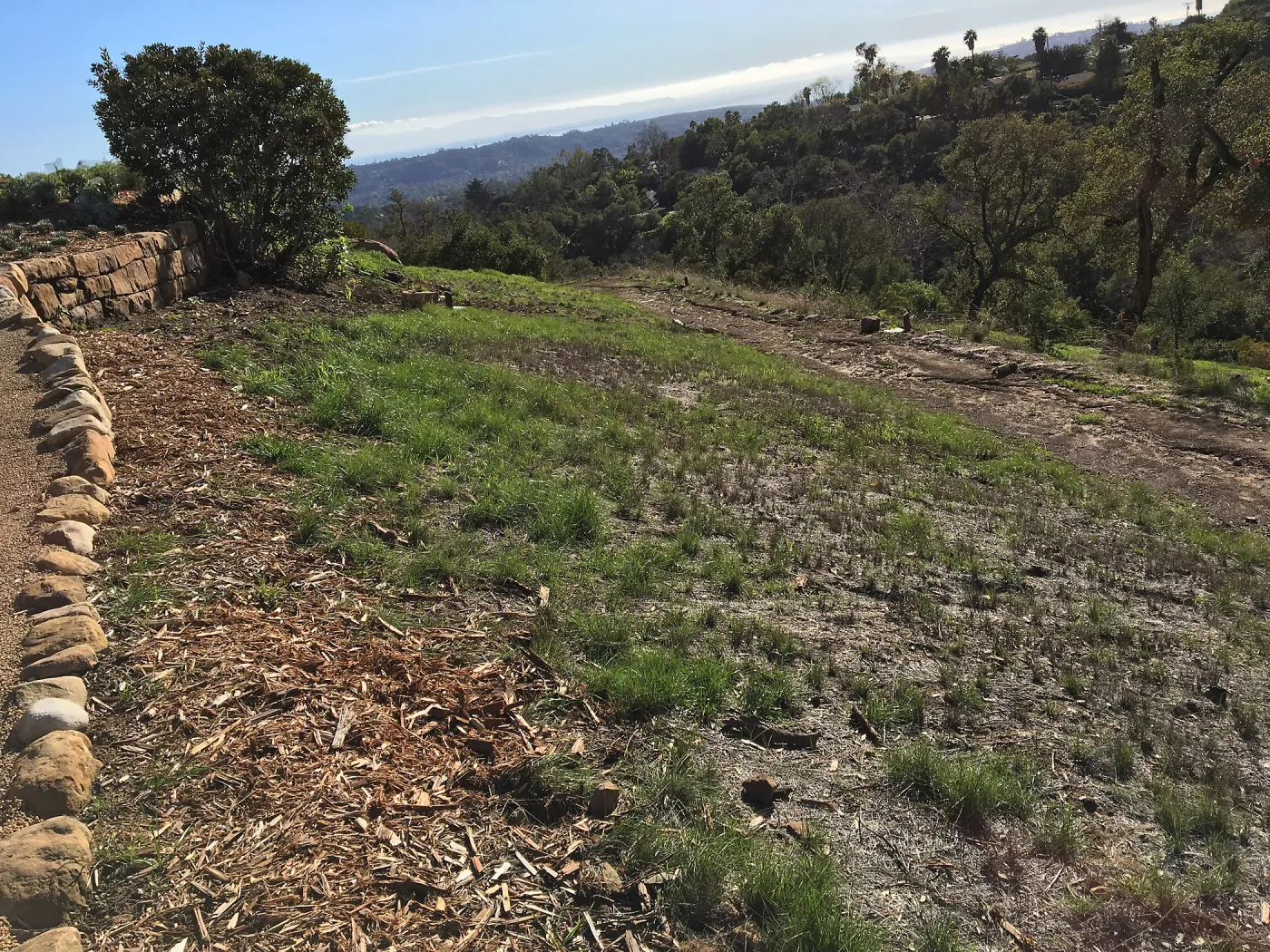 West slope below Pritzlaff Conservation Center