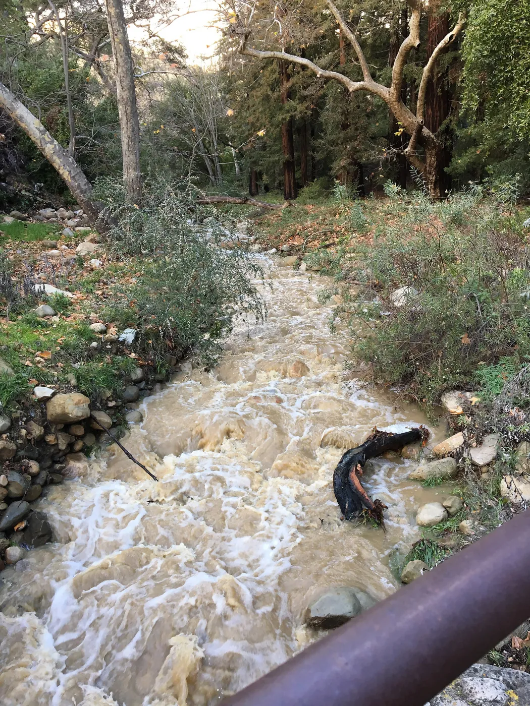 winter storm water, Mission Creek just above Mission Dam