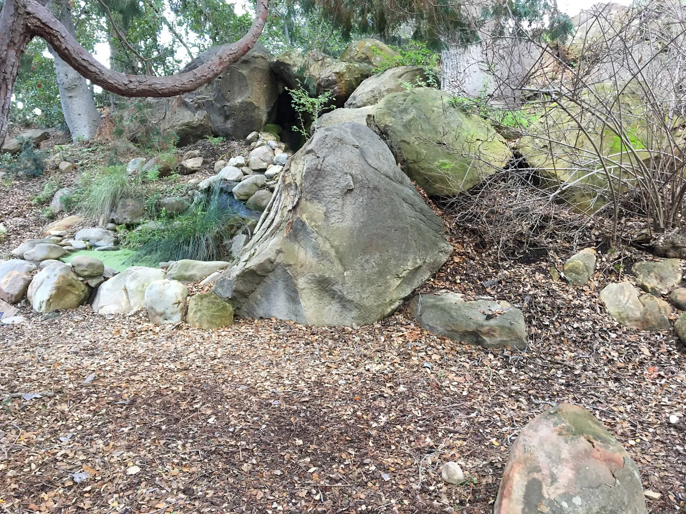 Teahouse garden