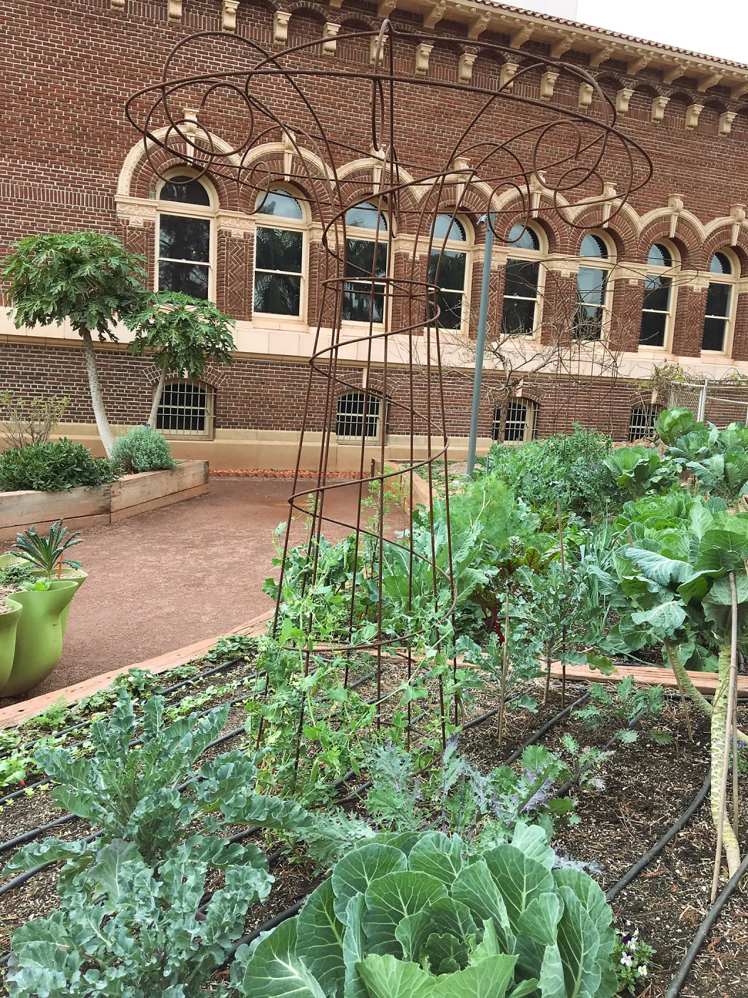 Urban Nature Garden at the Natural History Museum of Los Angeles