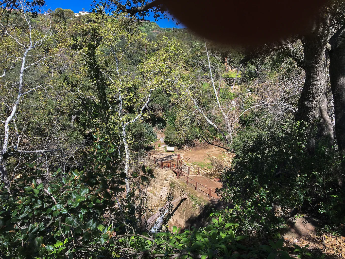 Mission Dam and canyon after the January 20 rainstorm
