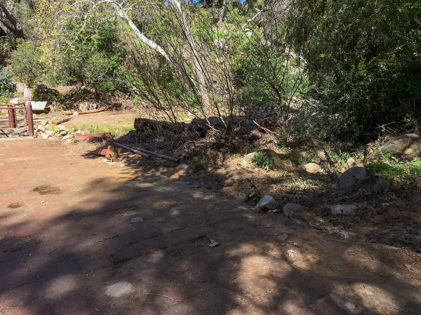 Mission Dam and canyon after the January 20 rainstorm