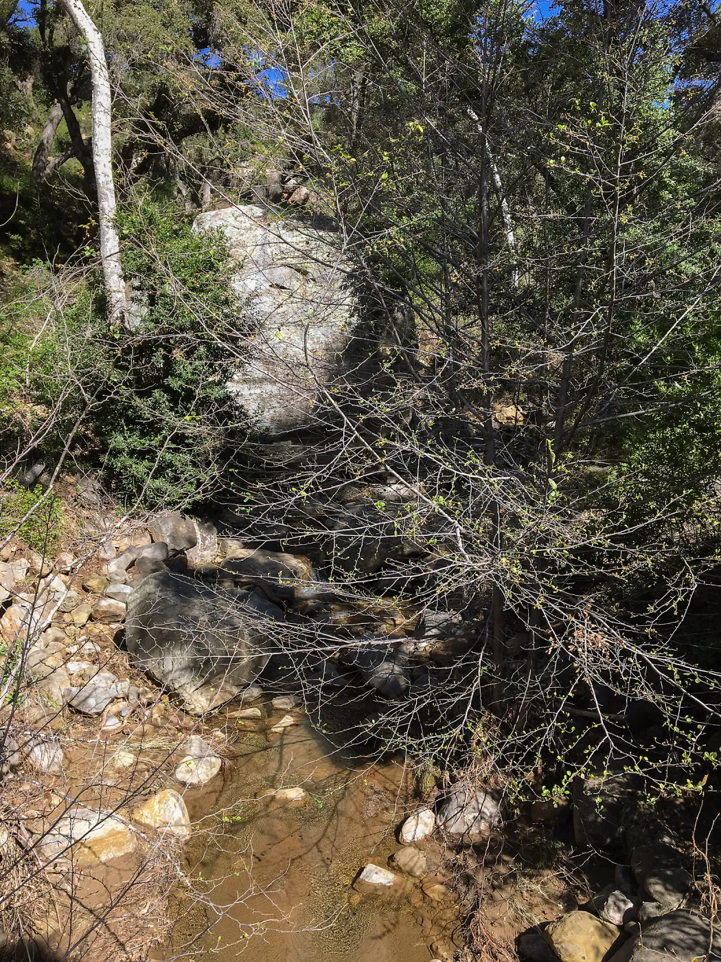 Canyon above Campbell Bridge after the January 20 rainstorm
