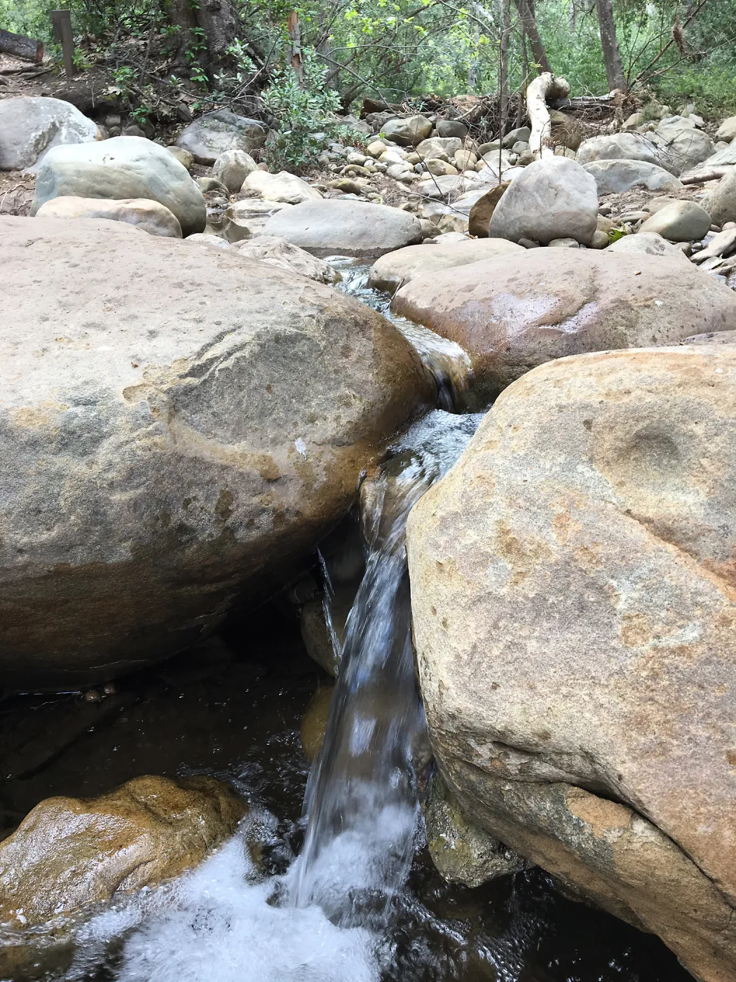 Mission Creek at lower creek crossing