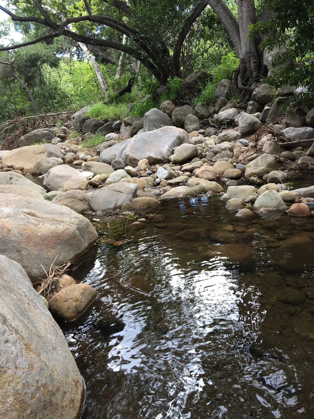 Mission Creek at lower creek crossing