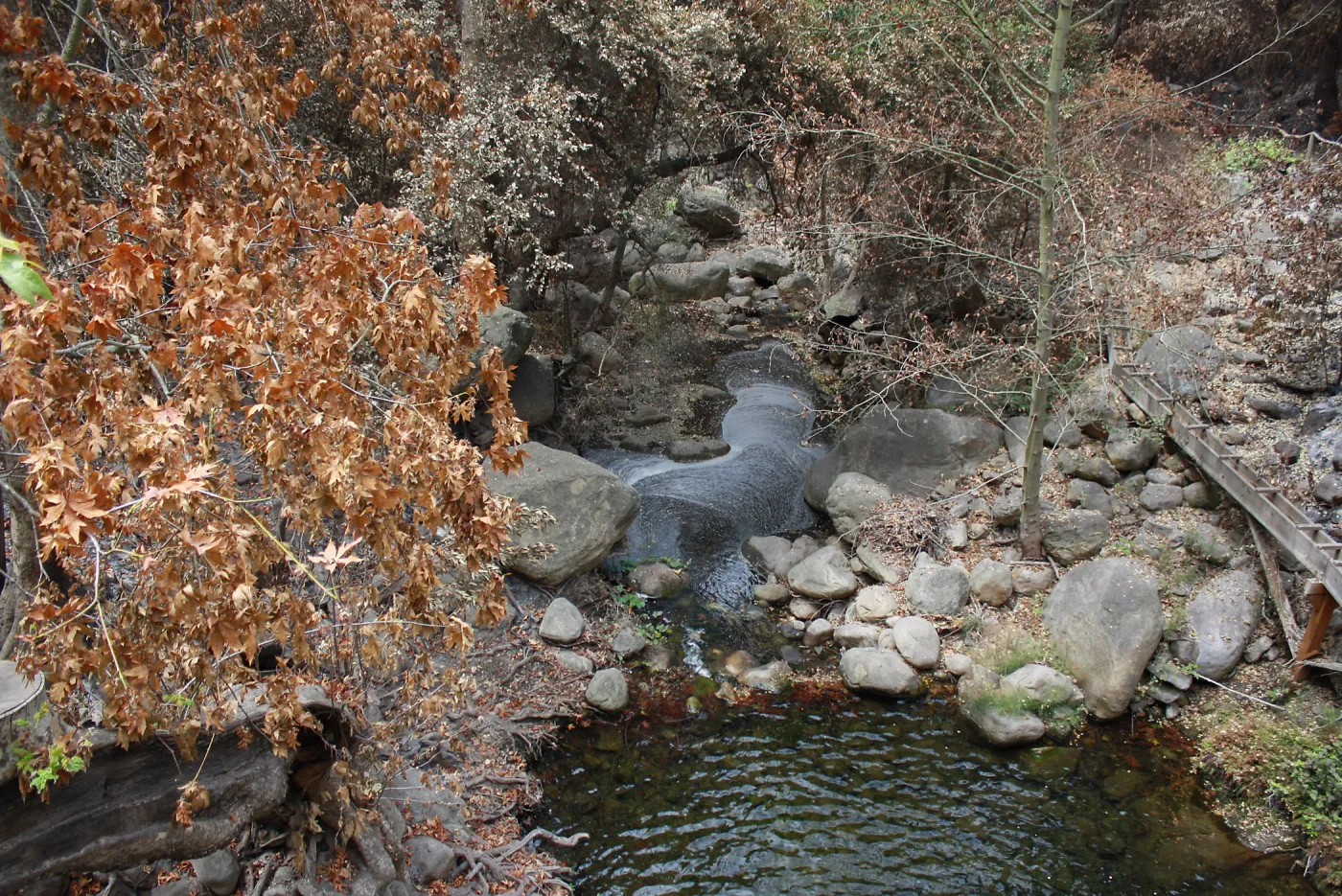 Ash in Mission Creek below Mission Dam after Jesusita Fire