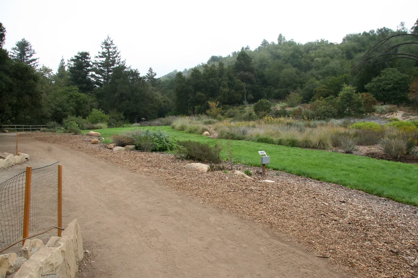 Meadow looking northeast from Meadow Terrace
