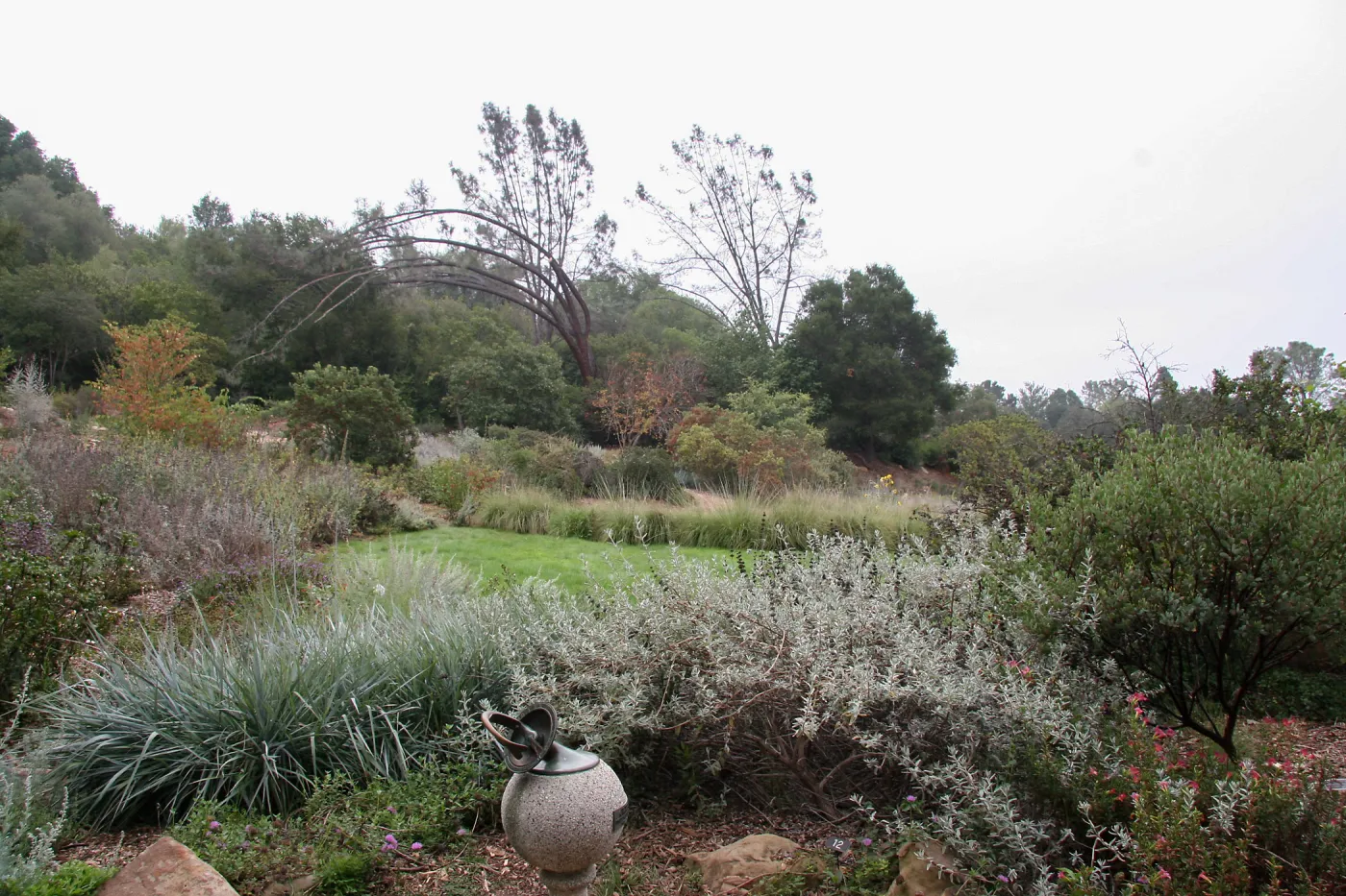 Meadow looking southeast from sundial