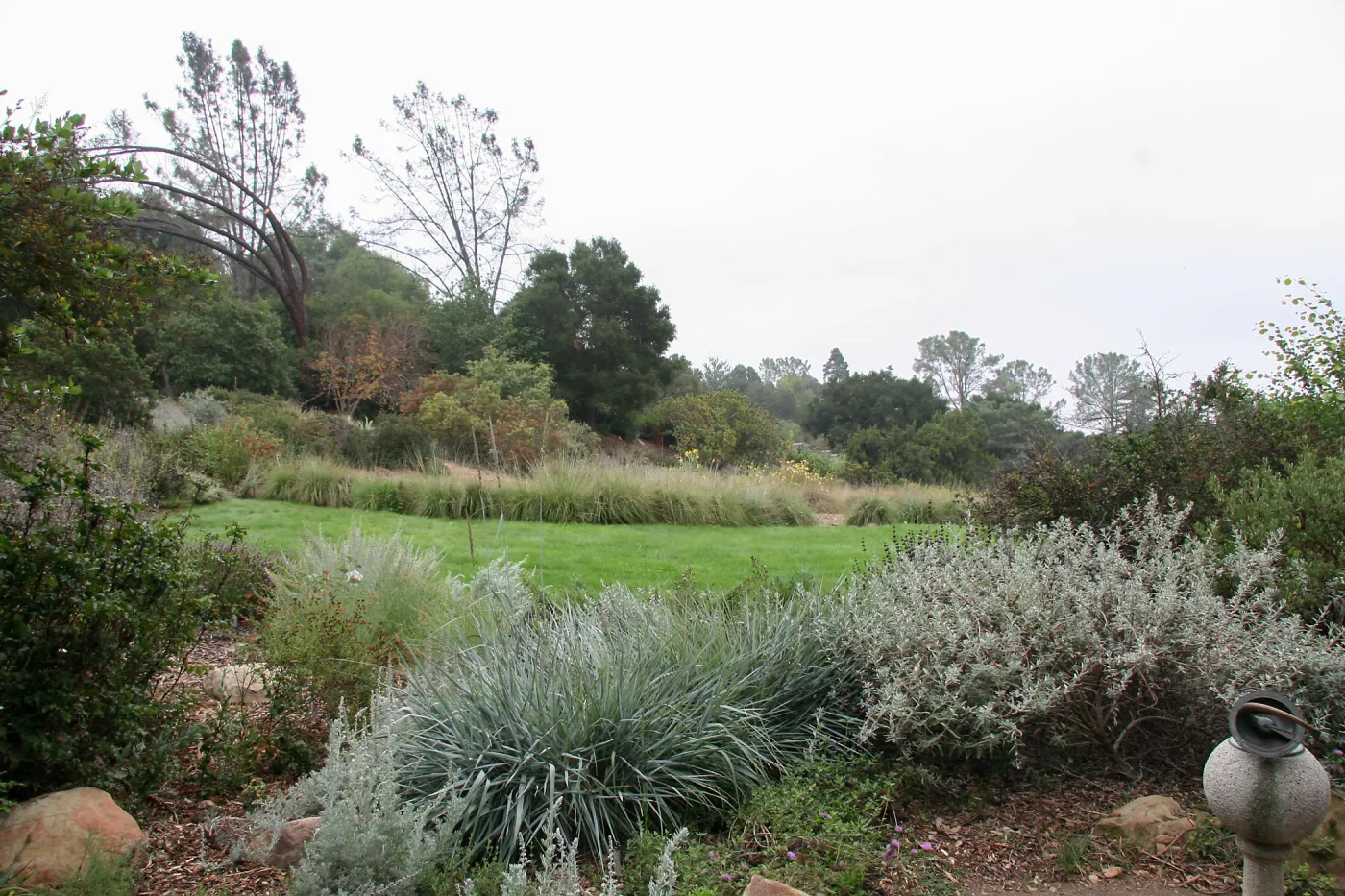 Meadow looking southeast from sundial