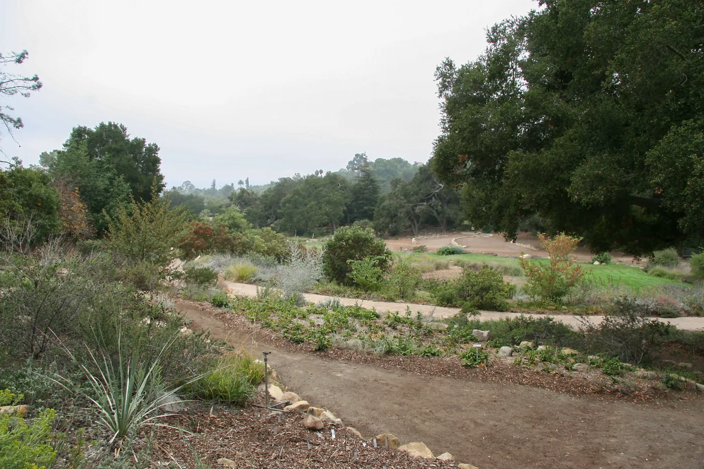 View across Meadow from Meadow View to Meadow Terrace