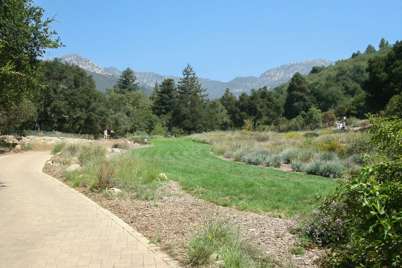 Meadow from Blaksley Boulder area