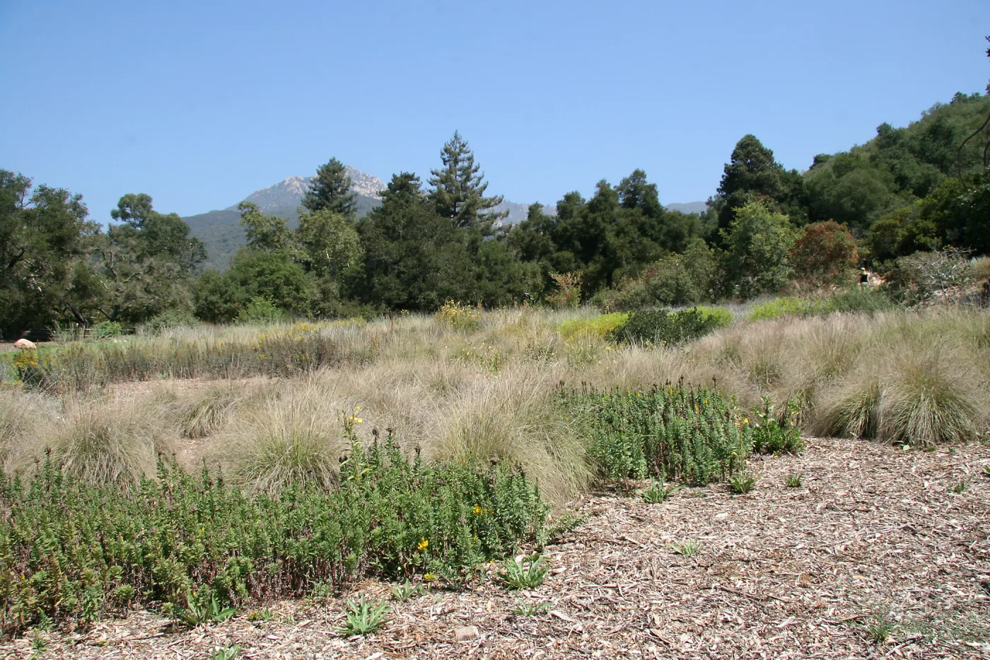 Looking north from middle of Meadow