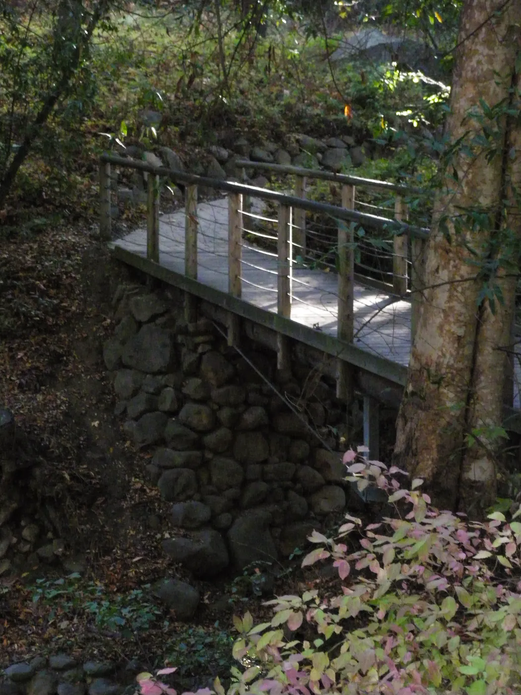 Campbell Bridge