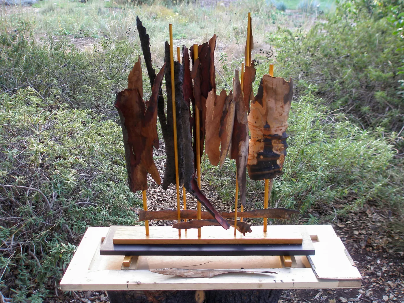 Art from the Ashes