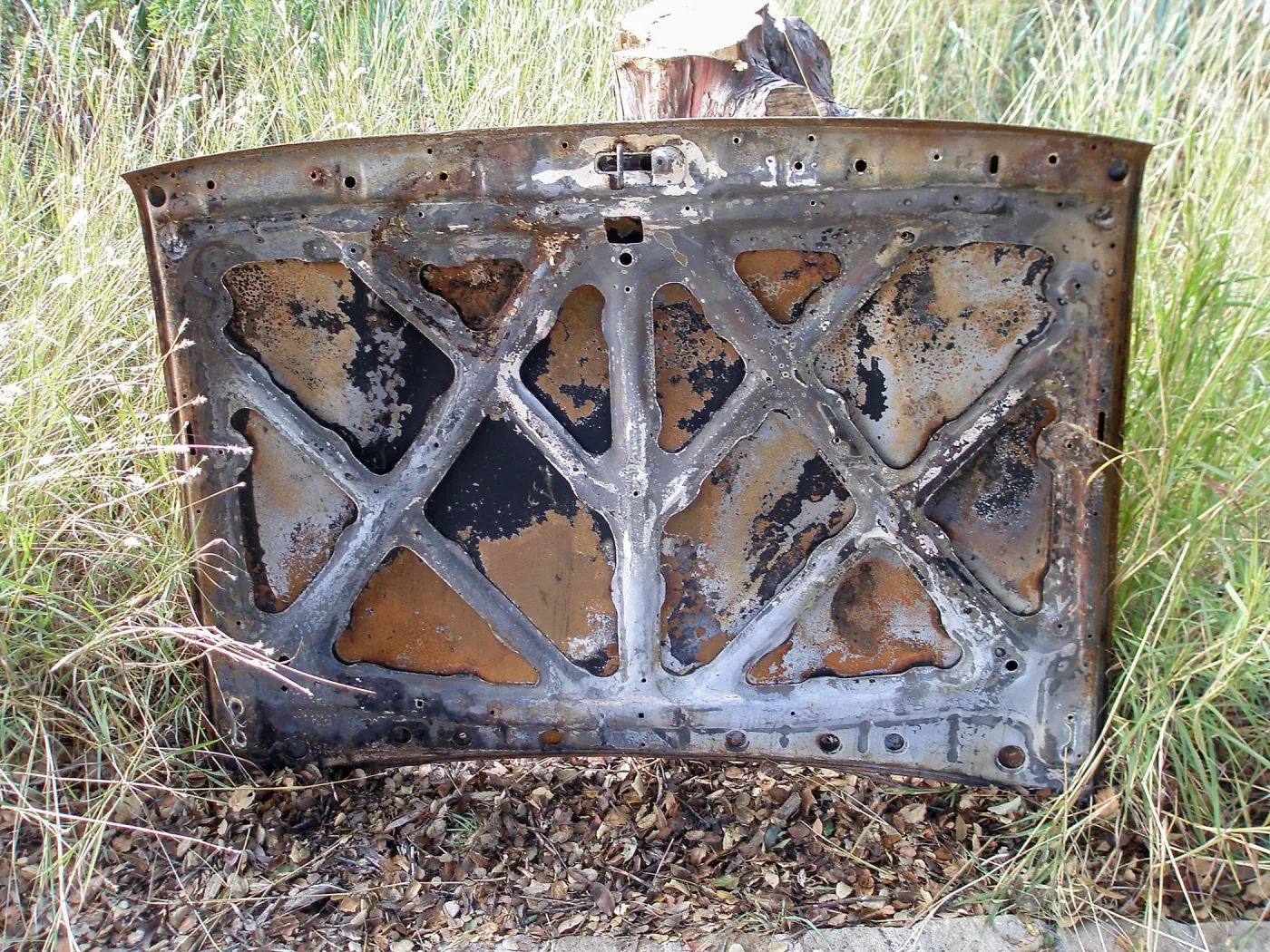 Art from the Ashes