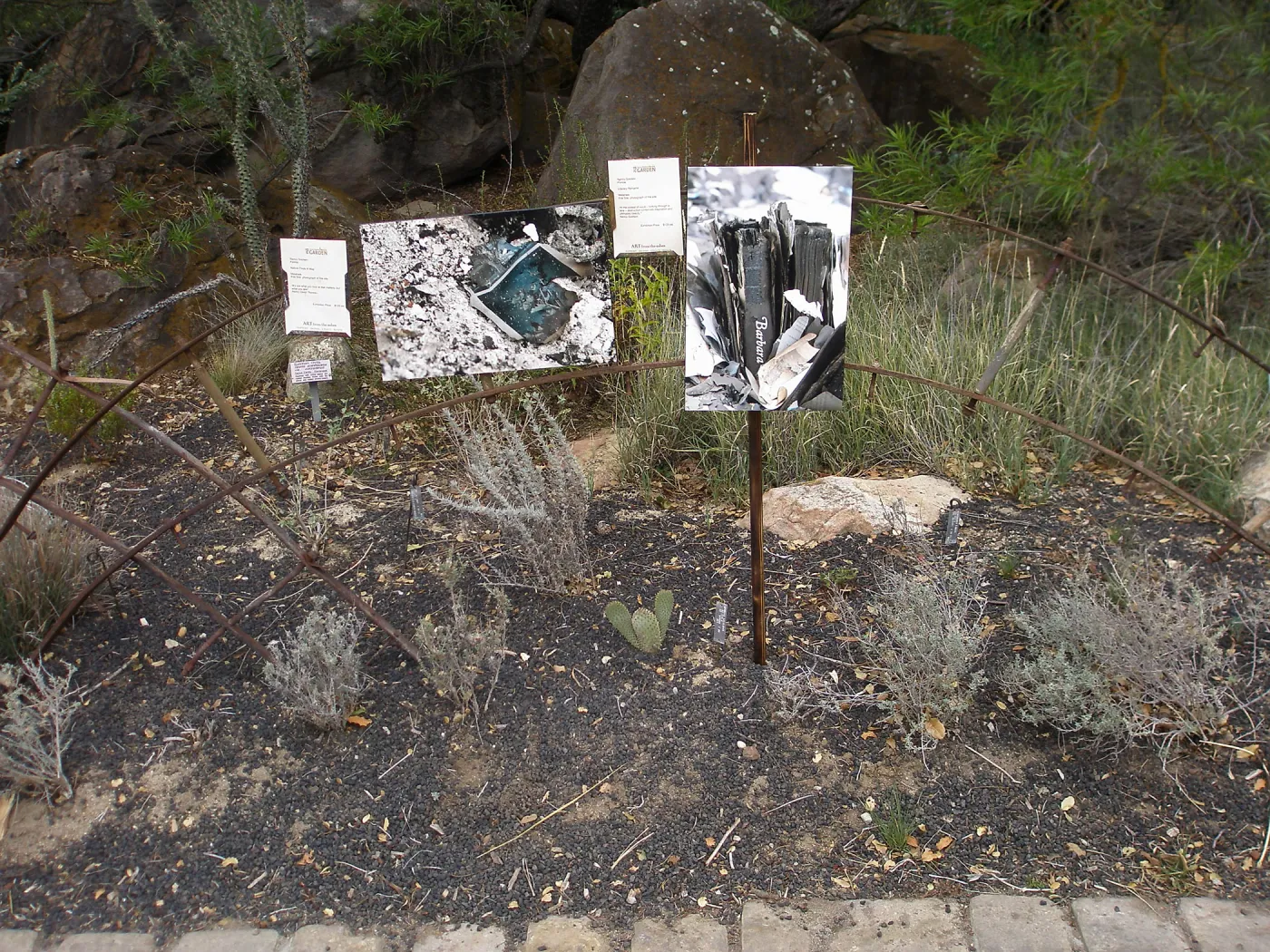 Works by Nancy Goldwin, Art from the Ashes