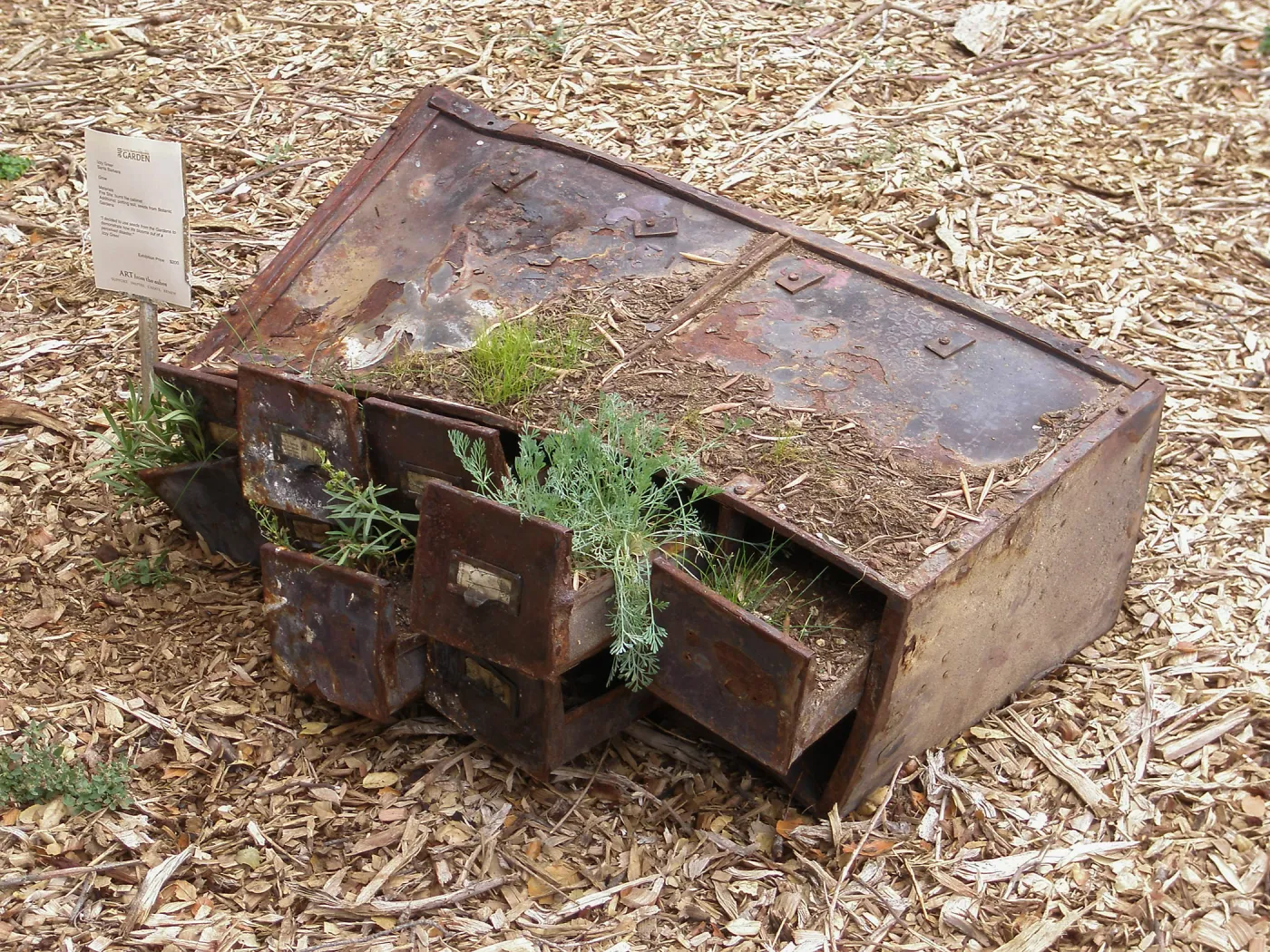 â€˜Grow' by Izzy Greer, Art from the Ashes