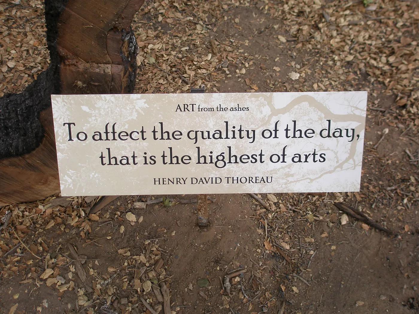 Art from the Ashes