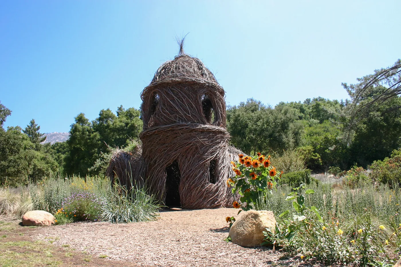 Toad Hall