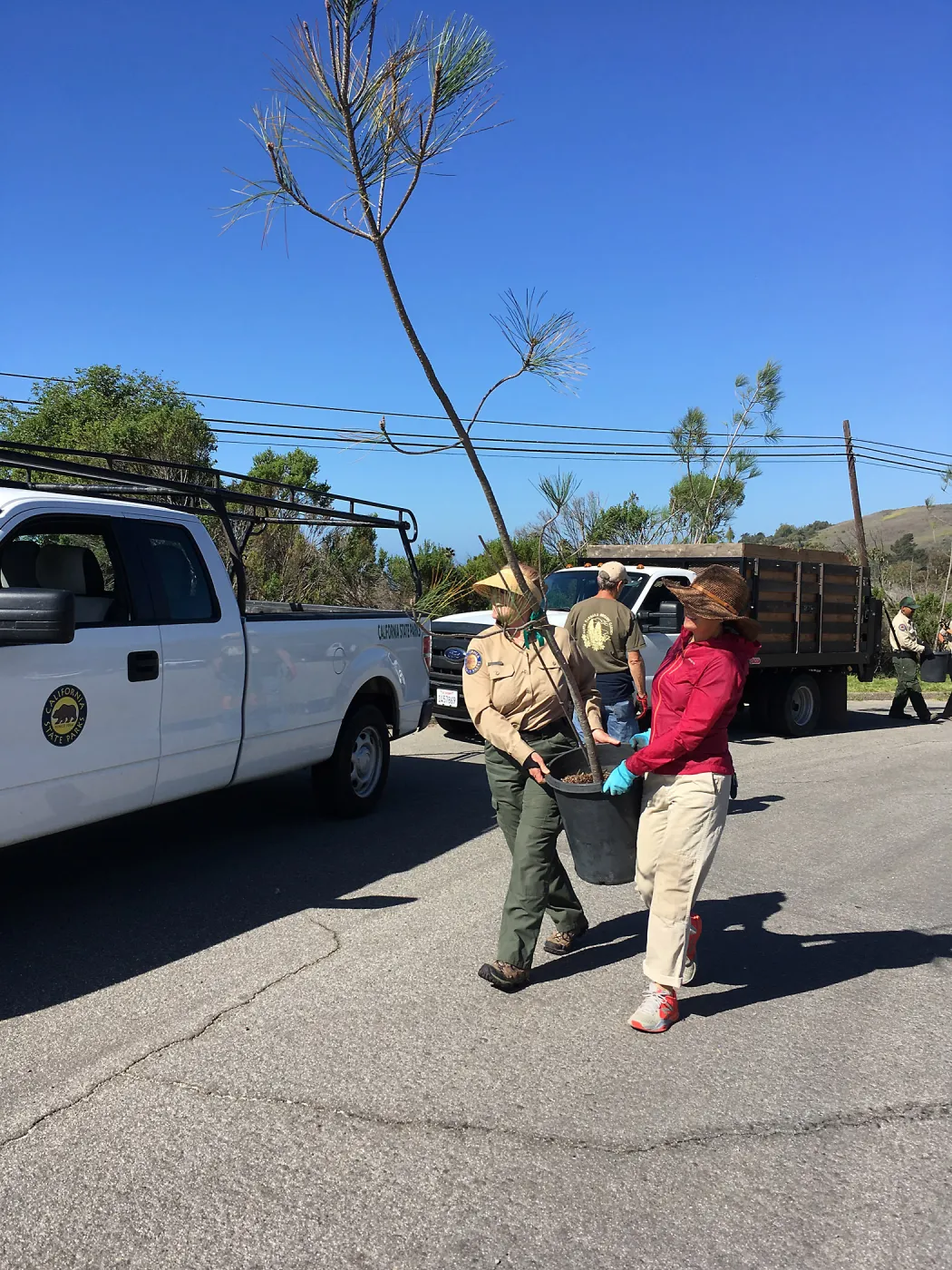 Earth Day Planting Project, Refugio State Beach